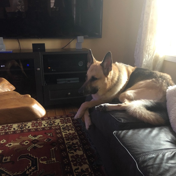 Meet your Posher, Jason - Picture 5 of 7